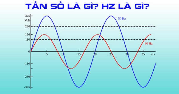 Đơn vị tần số là Hertz (Hz)